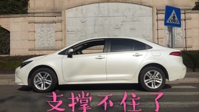 雷克萨斯es200最低价款 6e5236e27fb5d204e5c3615c546592420b502b02.jpg@280w_158h_1c_100q.jpg