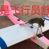 一只有私人飞机的老鼠