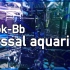 corok-Bb - abyssal aquarium [Dive/Art:City 2019]