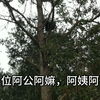 福建闽南话广播，闽南话10级才能完全听懂，你能听懂多少