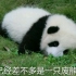 【个个盘点】熊猫辣么萌，在国产动画里又是啥样？