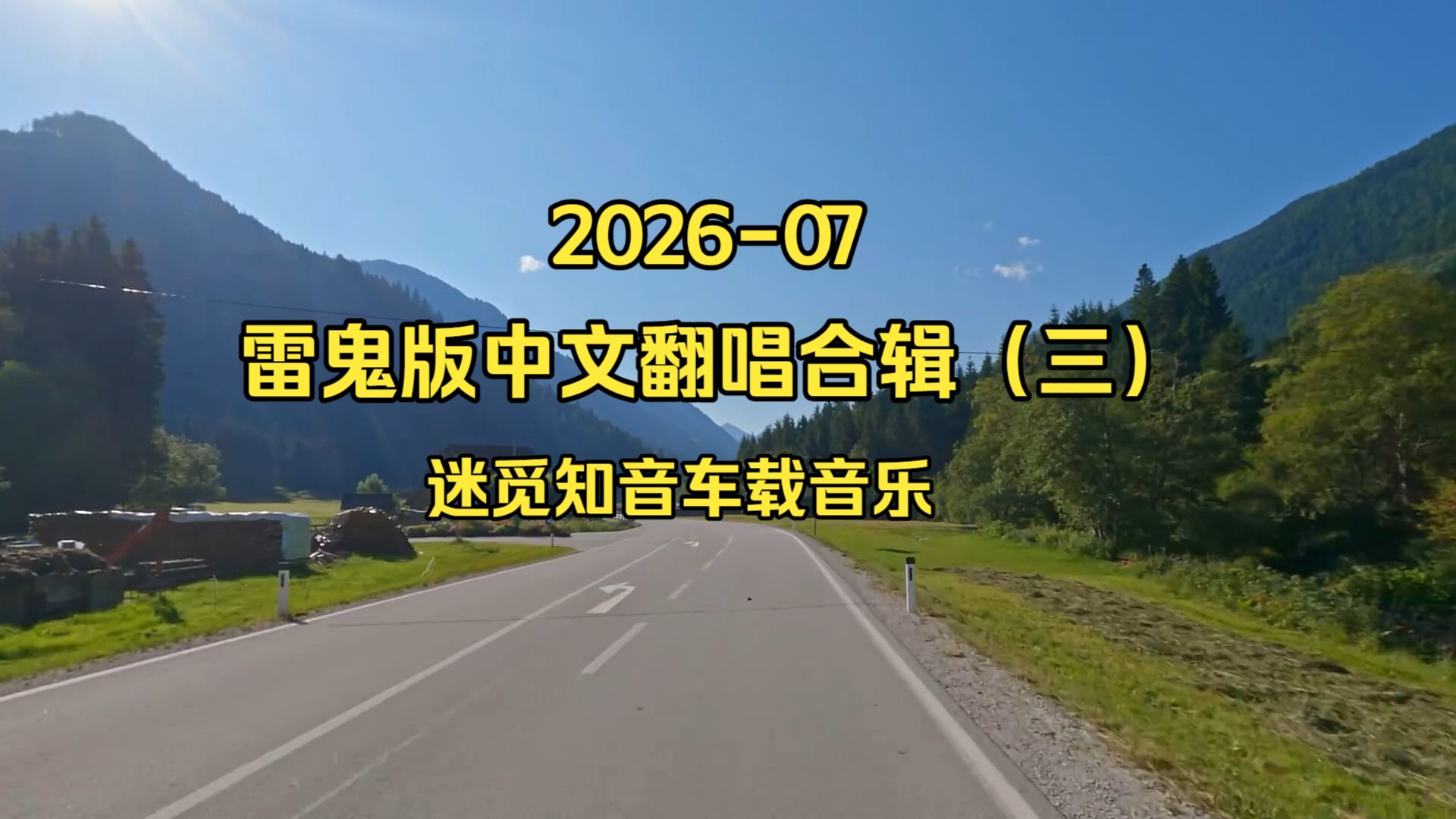 【中文经典翻唱合辑三】《迷觅知音车载音乐-雷鬼版-中文翻唱电音合辑》_1