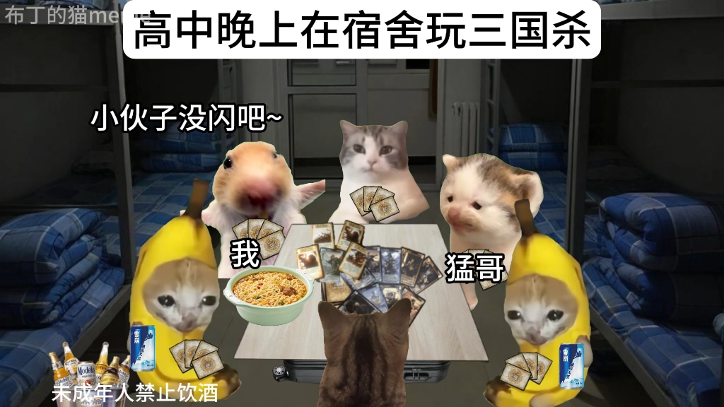 布丁的猫meme