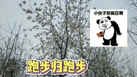 6e9546cb4829313a48cf22223b7a9e0b7a5dcae7.jpg@280w_158h_1c_100q.jpg