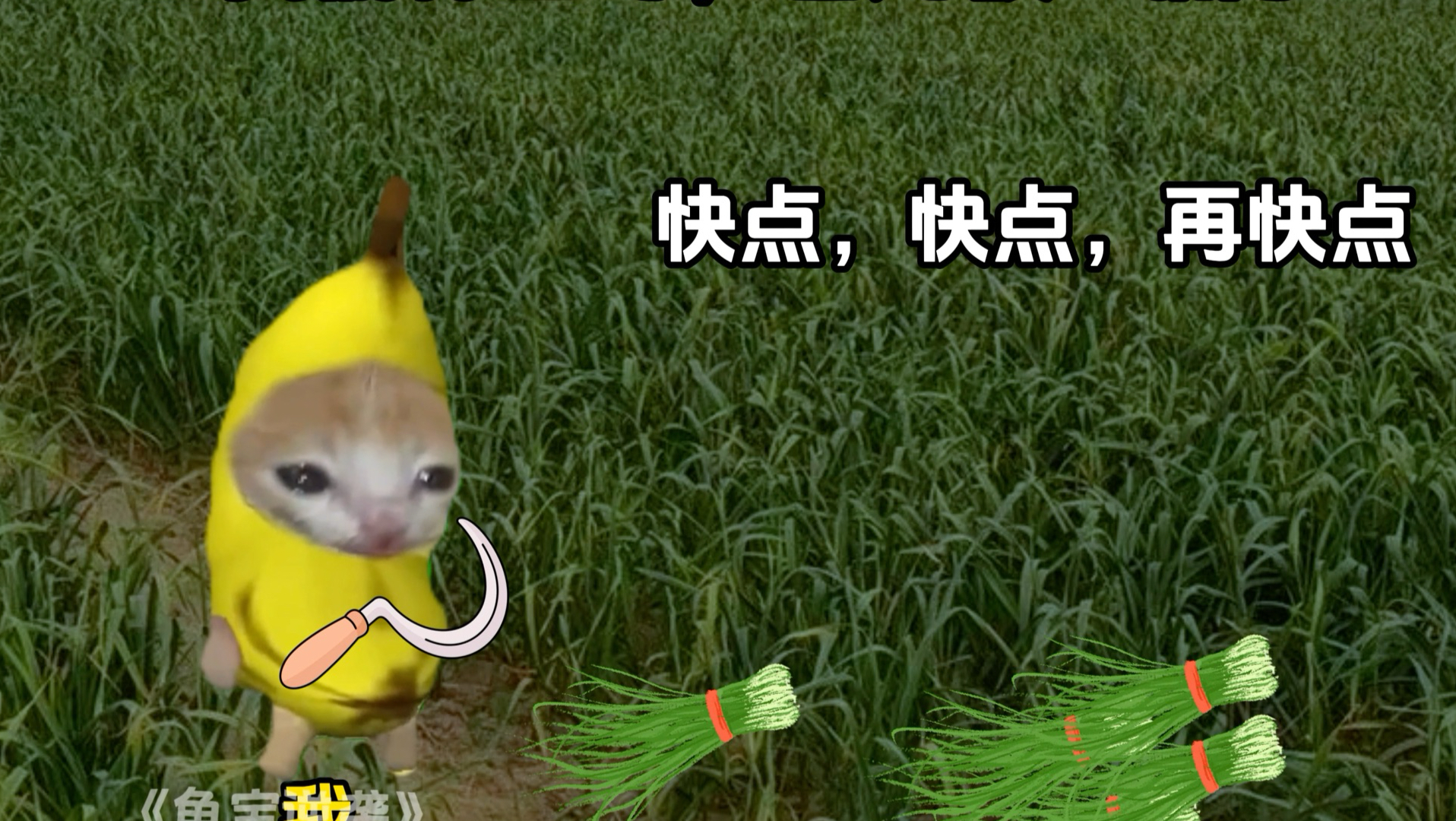《鱼宝逆袭》1.0#猫meme #超爆小故事 #猫meme小剧场#搞笑