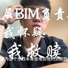 底层BIM负责人的自我怀疑跟自我救赎的故事，如果你的企业是联营，如果你是BIMer，你可以看看相似经历