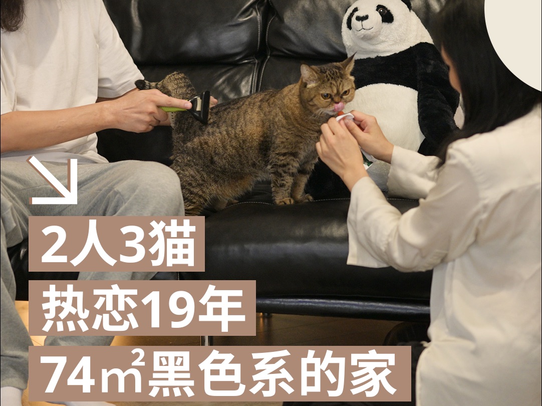 👩‍❤️‍👨和🐱越住越爱的74㎡二居