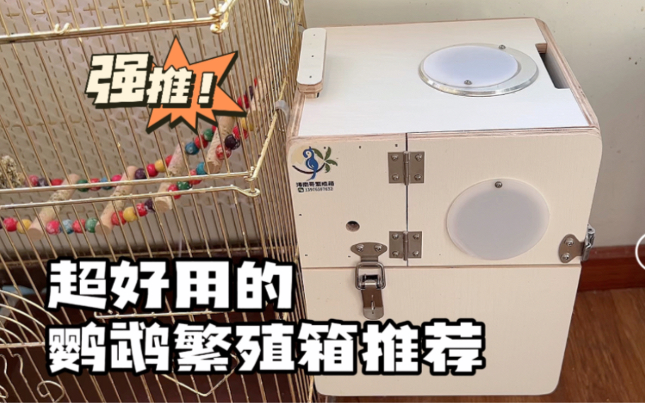 全网都在推荐的小鸟繁殖箱，真的超级好用