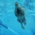 奥运冠军Stephanie Rice 教你提高游泳 | 技巧训练和技术（CC中字）