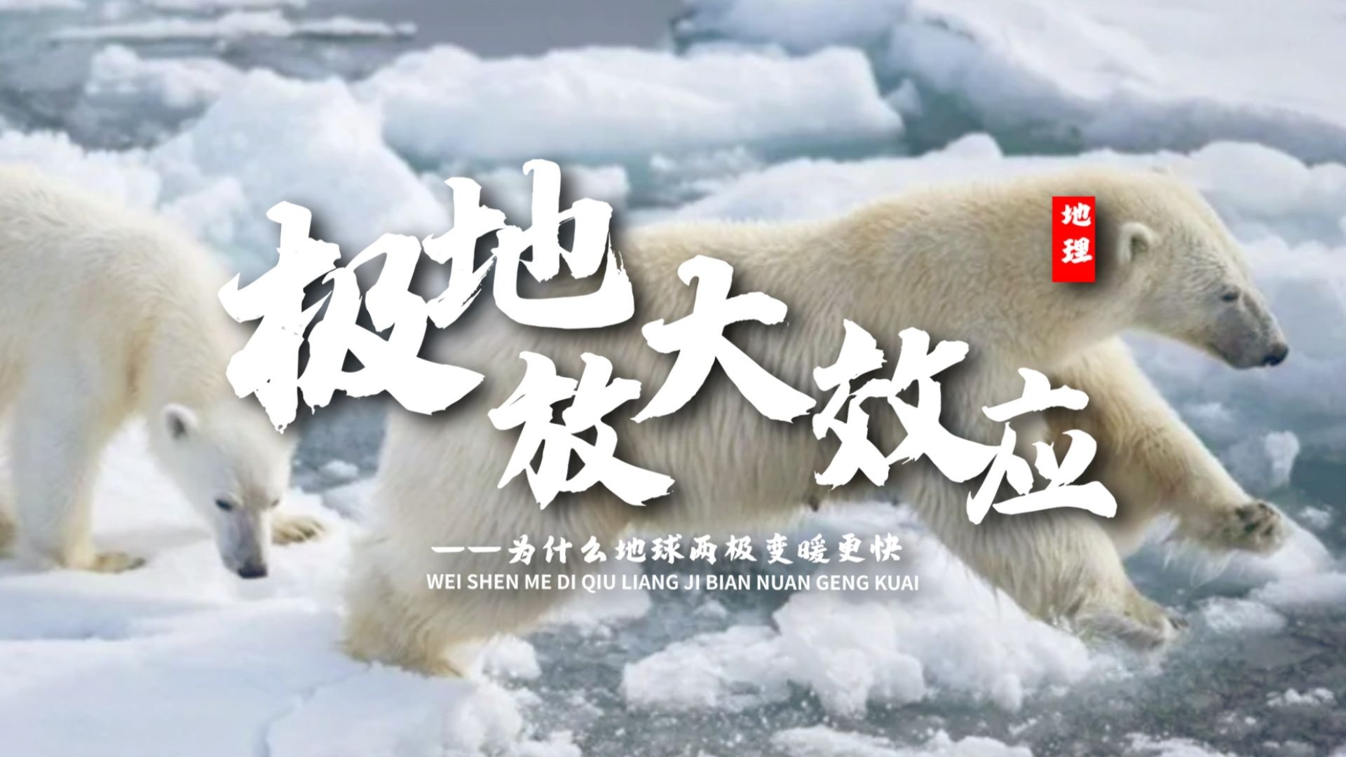 课前三分钟，地理不用愁——极地放大效应（北极放大效应）【看纪录片学地理】