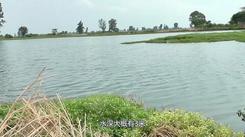 6f294f15ecca71caeadd25bc26f5307452d9b8e6.jpg@480w_270h_1c