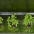 智能温室大棚种植蔬菜所有的高科技技术都在这里了