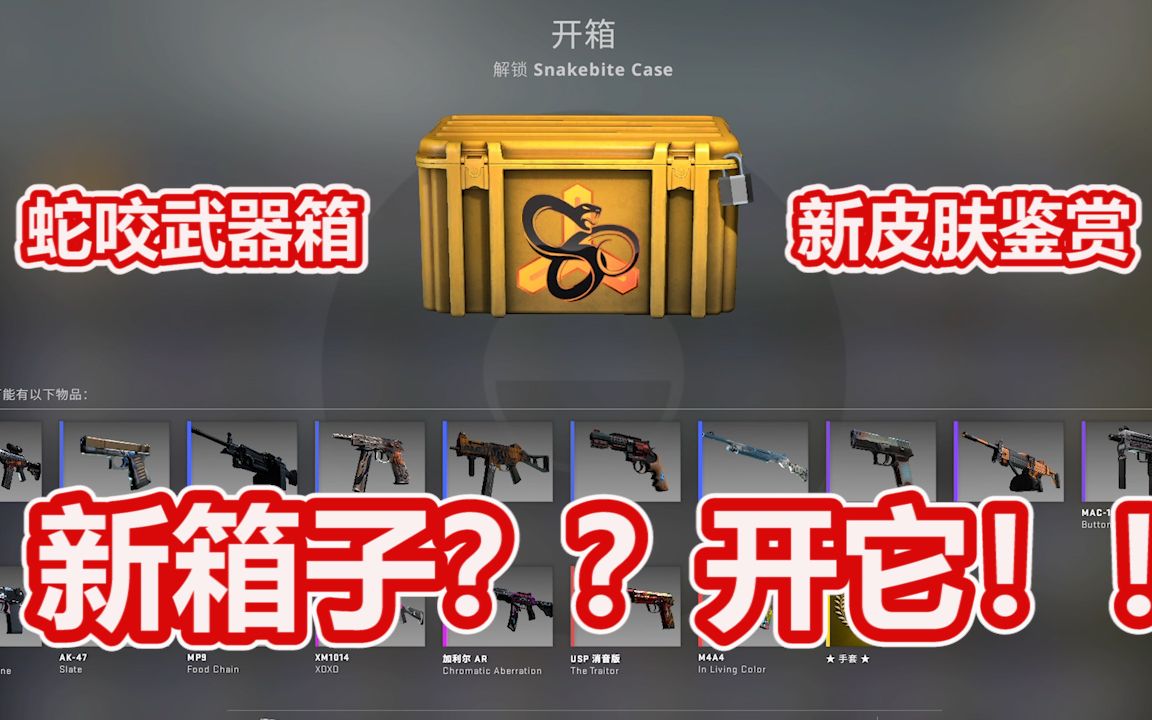 csgo新箱子snakebitecase皮肤鉴赏直接开开开