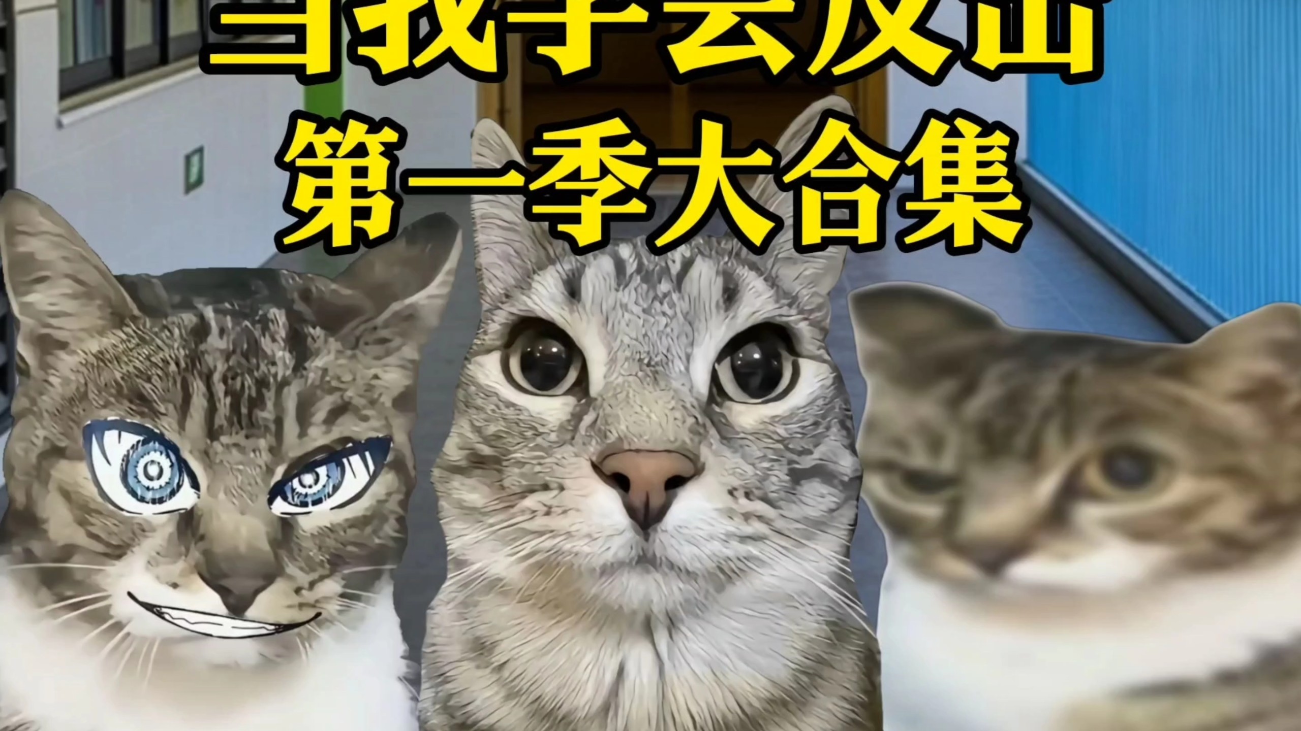 当我学会反击（大合集）