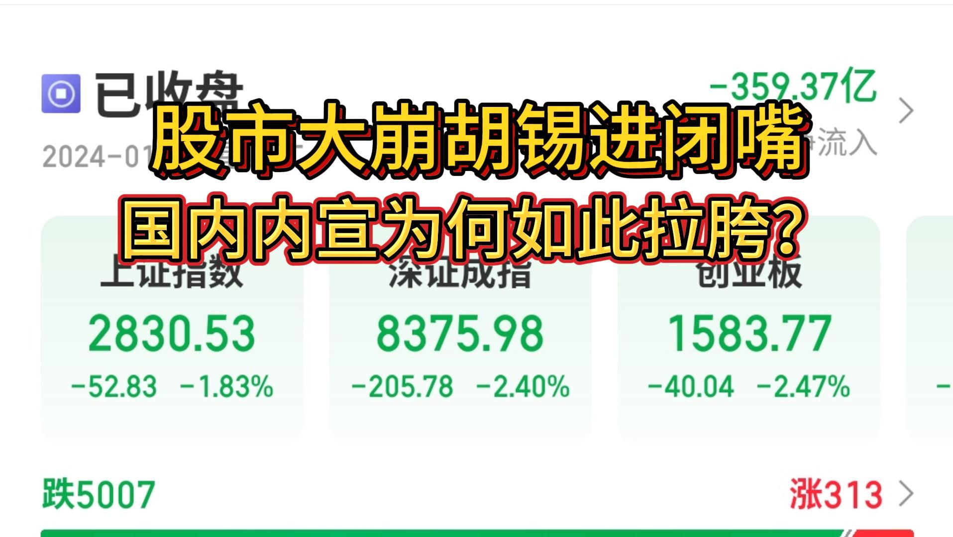 股市崩盘胡锡进闭嘴,国内内宣为何如此拉胯哔哩哔哩bilibili