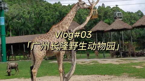 广州长隆野生动物园,广州长隆野生动物园门票