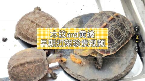 6f7ff6f8f7ff326123e43262ac2e7309dc557d7d.jpg@480w_270h_1c