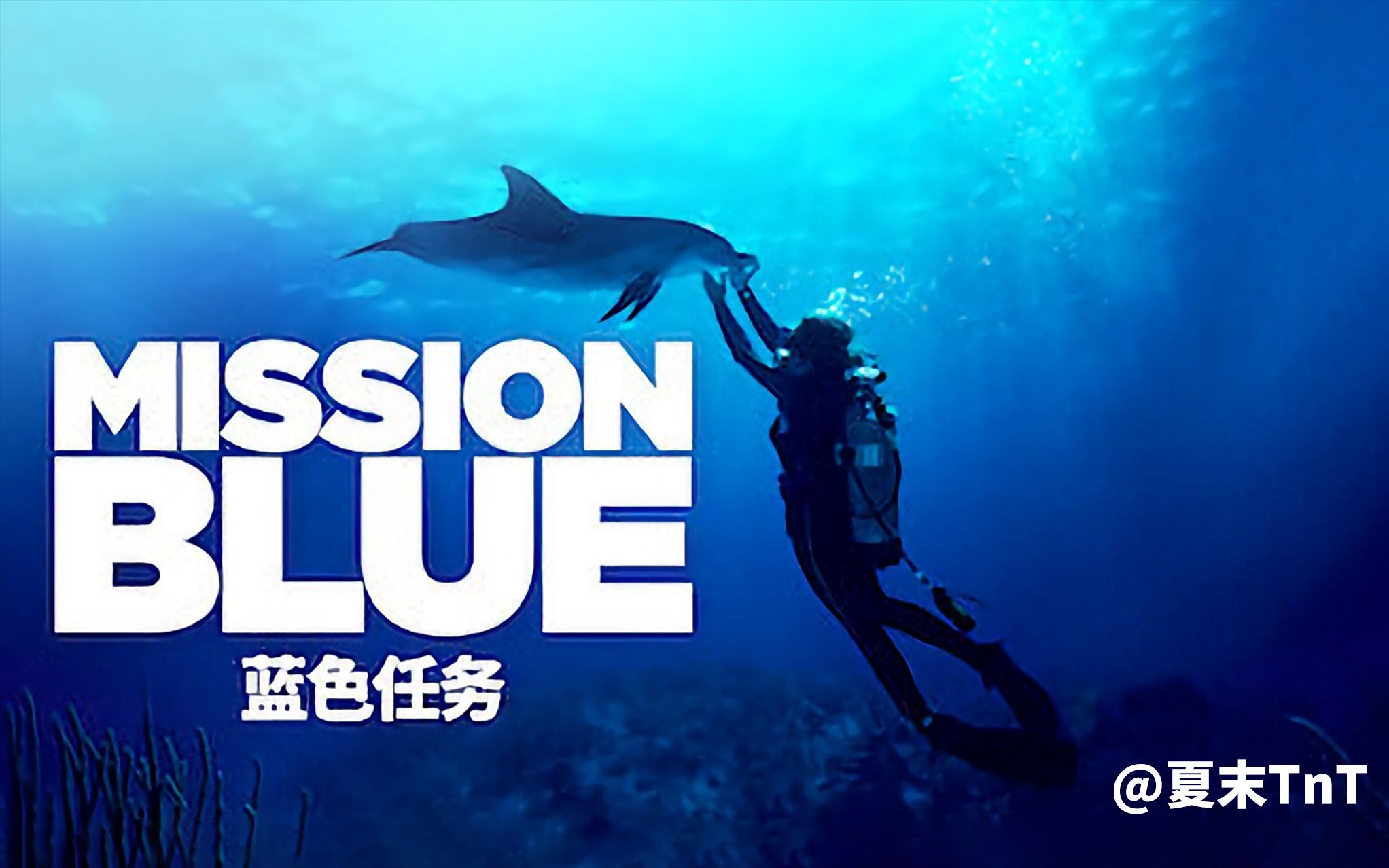 蓝色任务 中英双语字幕 Mission Blue