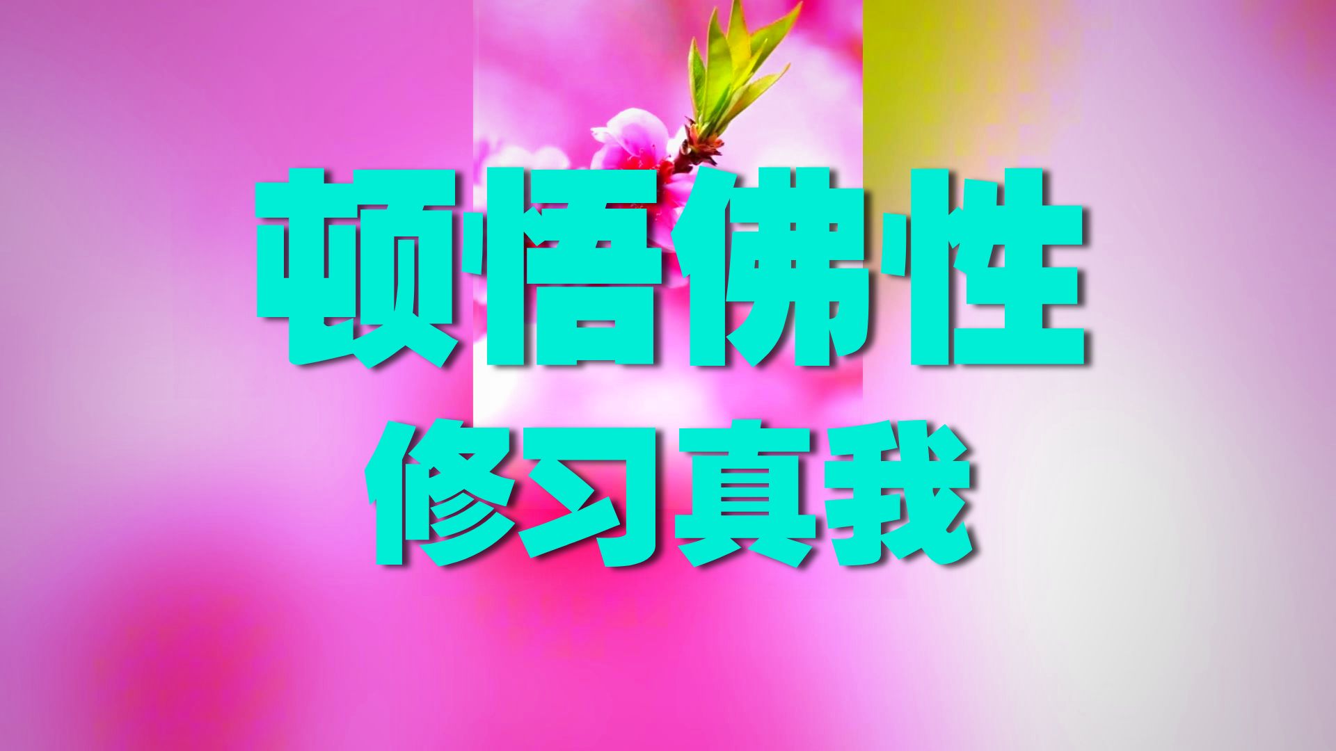 体佛法师开示：修习性