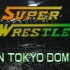 SWS SuperWrestle In Tokyo Dome 1991.12.12