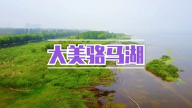 6fc98368fa06726a889e85cf88f291efff9583ba.jpg@280w_158h_1c_100q.jpg