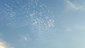 6fdce37d11c20d526a5ff4d3331a5a007229d98b.jpg@280w_158h_1c_100q.jpg