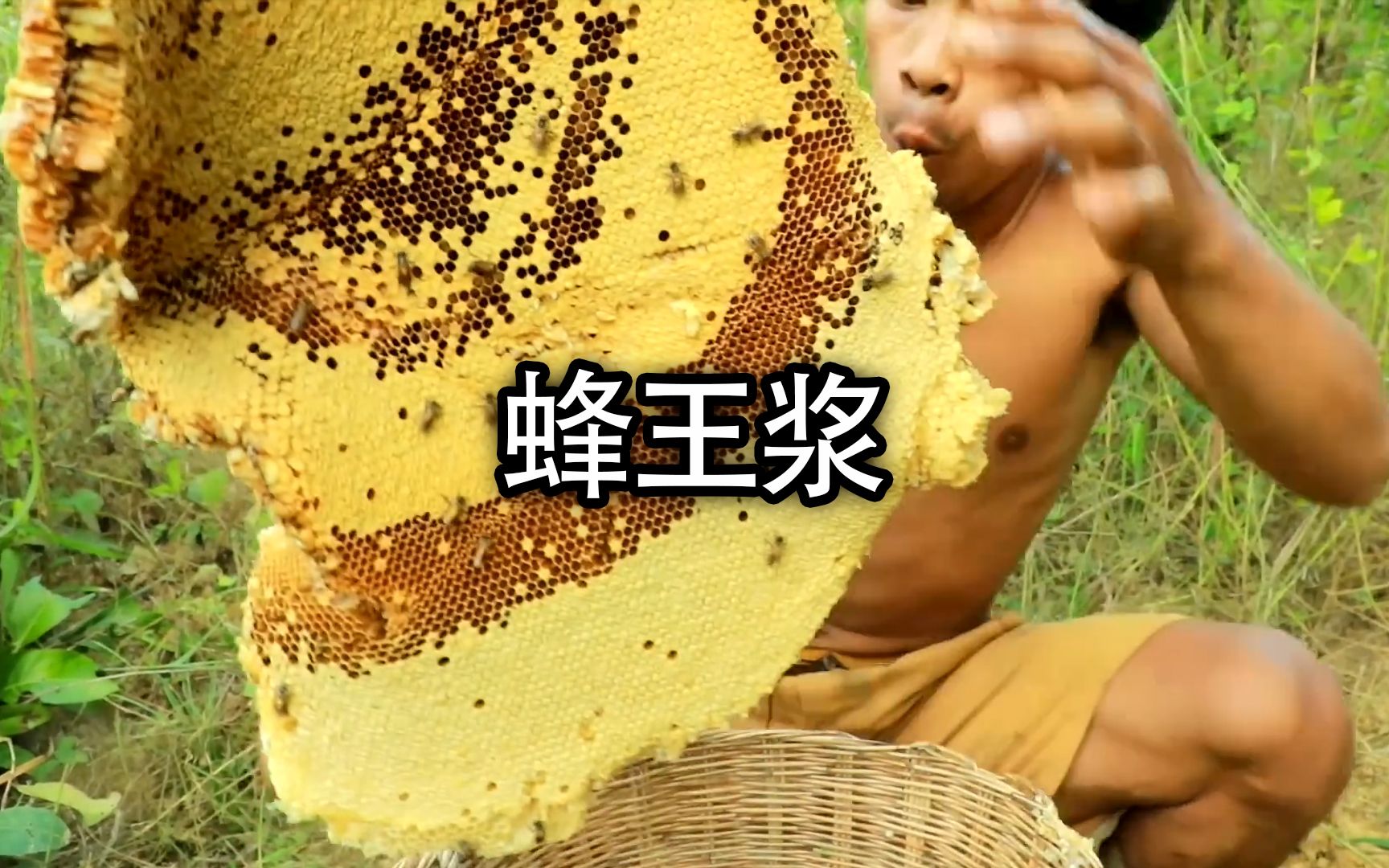 一次可以吃完几十斤的蜂王浆，你能做到吗
