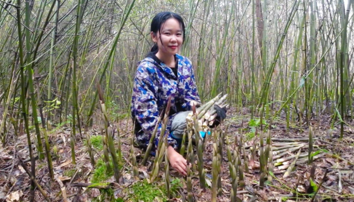 香香进山拔竹笋，看到满山竹笋秒变女汉子，拔笋速度快的像收割机