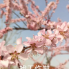 studio_video