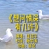 《想问情深有几许》完整版MV演唱田浩宇网络流行歌曲唯美金曲热歌