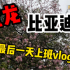 宝龙比亚迪最后一天上班vlog！我在深圳宝龙比亚迪最后一天上班了！我阳了也咳嗽了