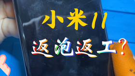 小米拨号音曲谱_小米11(2)