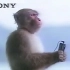 Sony VM-501 1987年猴子广告，501由此在众多Walkman随声听中出名，到了现在也备受烧友喜爱。