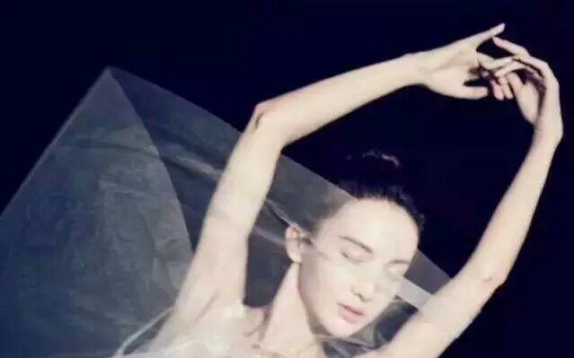 标签详情_bilibili_哔哩哔哩弹幕视频网