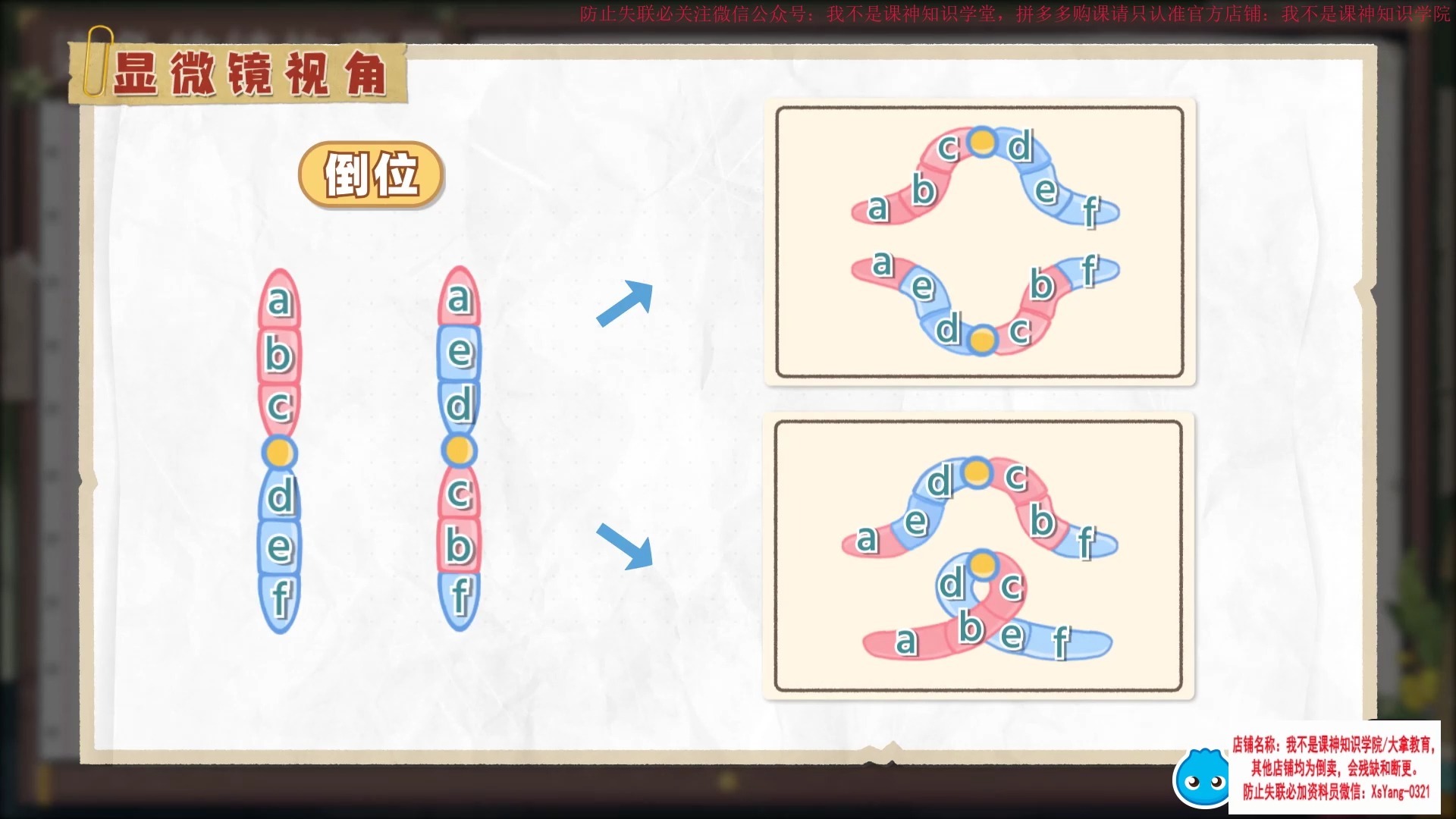 1.《染色体结构变异》