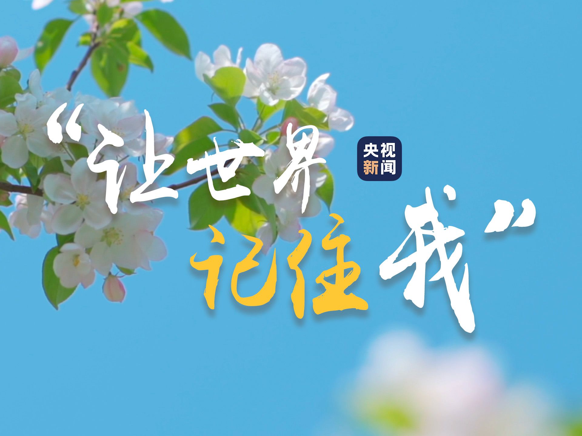 “您好 我是器官捐献协调员”