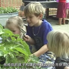 蒙特梭利教育历史