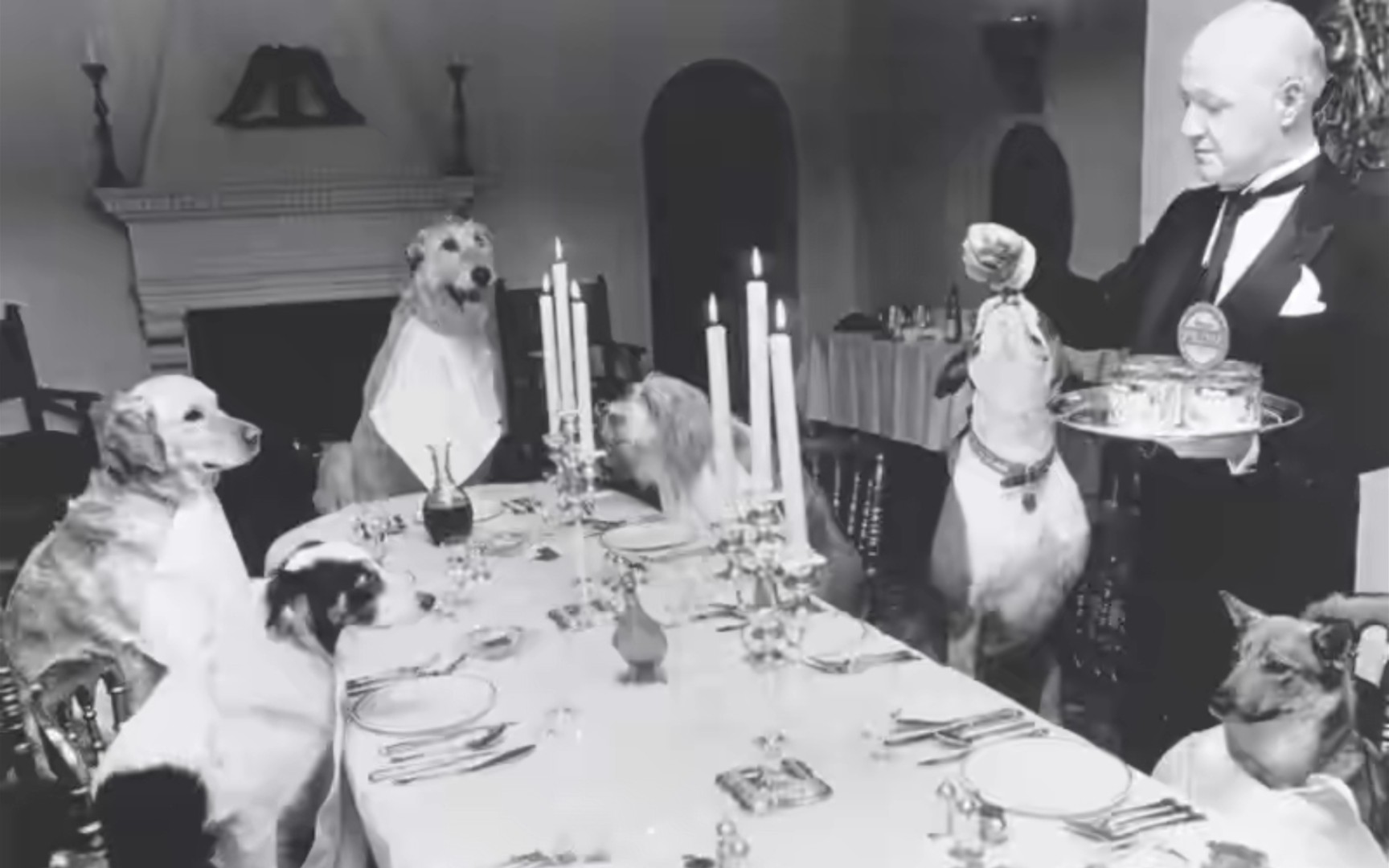 百年照片回眸：1941年的帝国大厦，梦露离婚，宠物狗享烛光晚餐