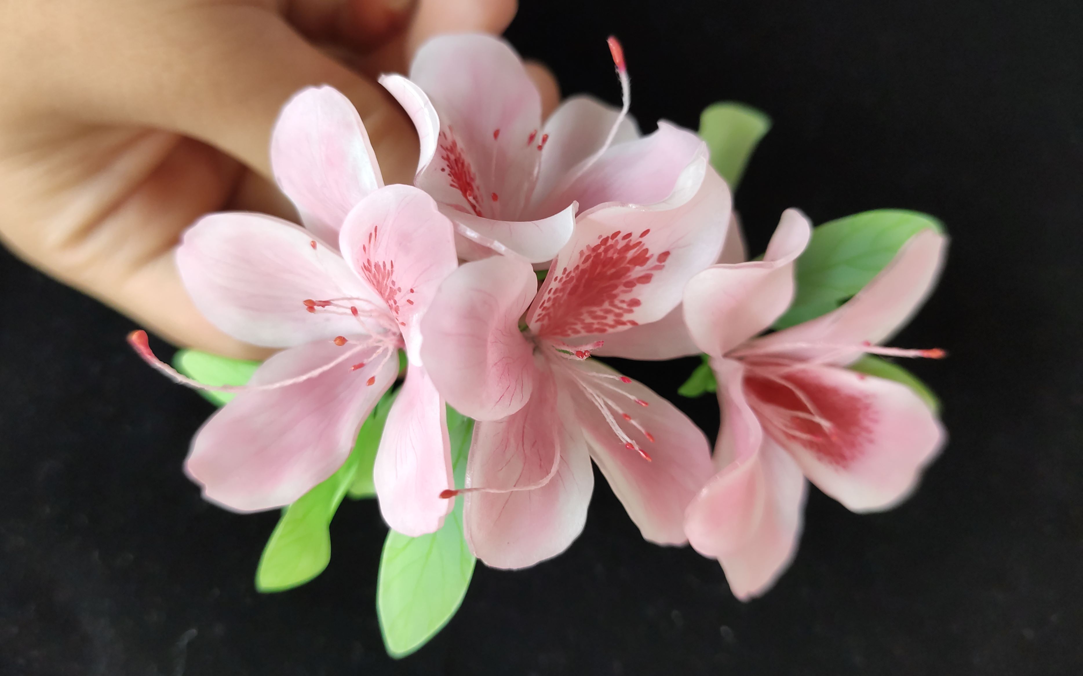 杜鹃花制作 热缩片教程