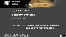 exercises for vestibular disorders dr anirban biswas