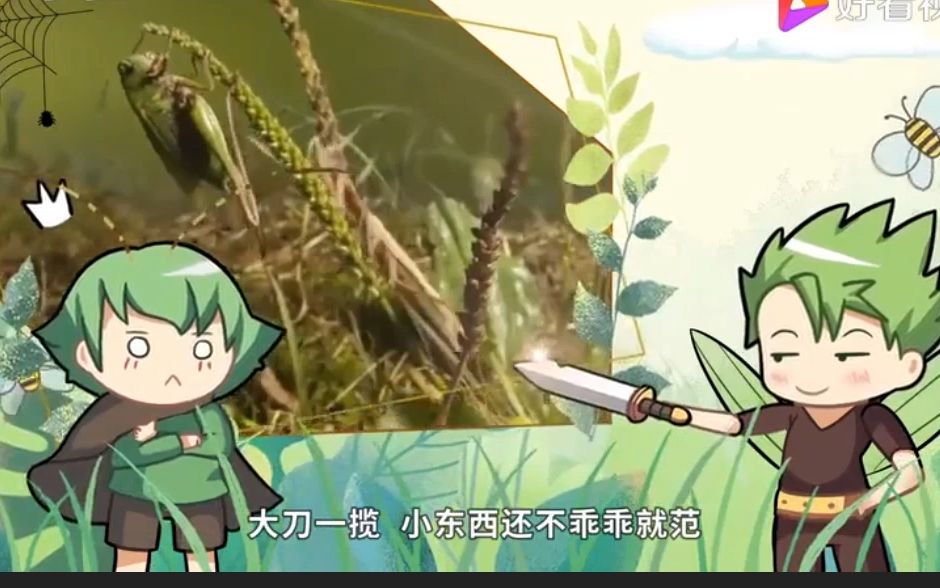 2、螳螂（资源）