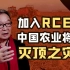 温铁军：RCEP是中国战略上的一步好棋，但对农业来说很可能是灭顶之灾【践闻录】