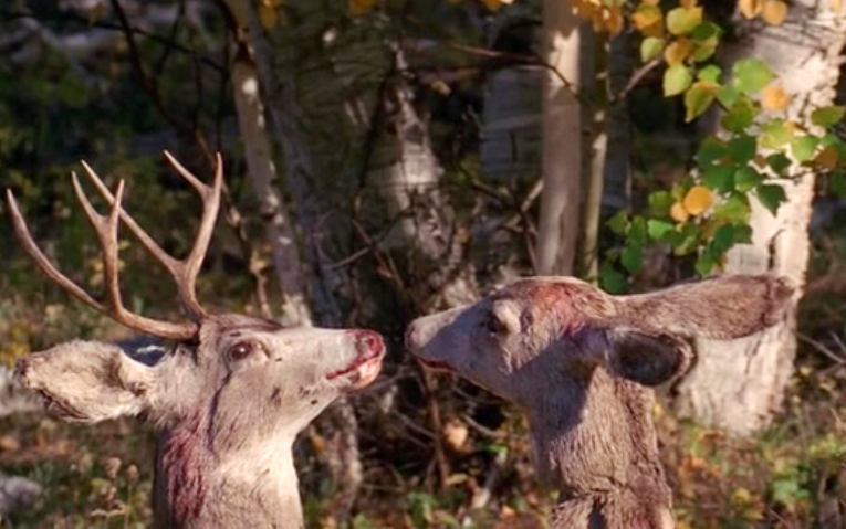 【越哥】豆瓣8.9分，一部题材敏感的冒险片，终于有人敢碰它了！