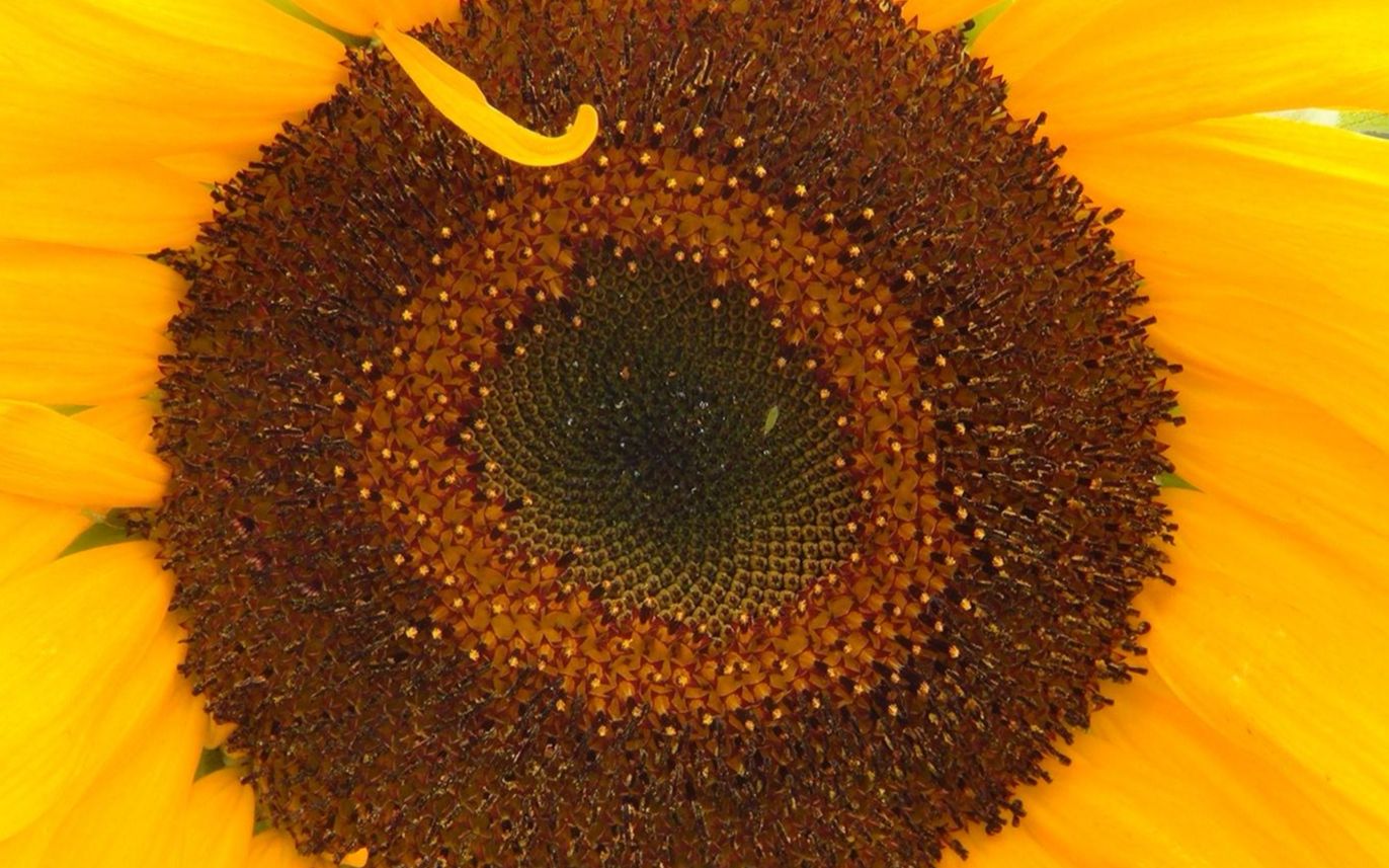 PHILIPS 飞利浦 BDM4350UC 43英寸4K显示器开箱视频