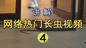 轻松舒缓的音乐治愈 70e32d1dce26e5015953820243f1353922ce207e.jpg@280w_158h_1c_100q.jpg