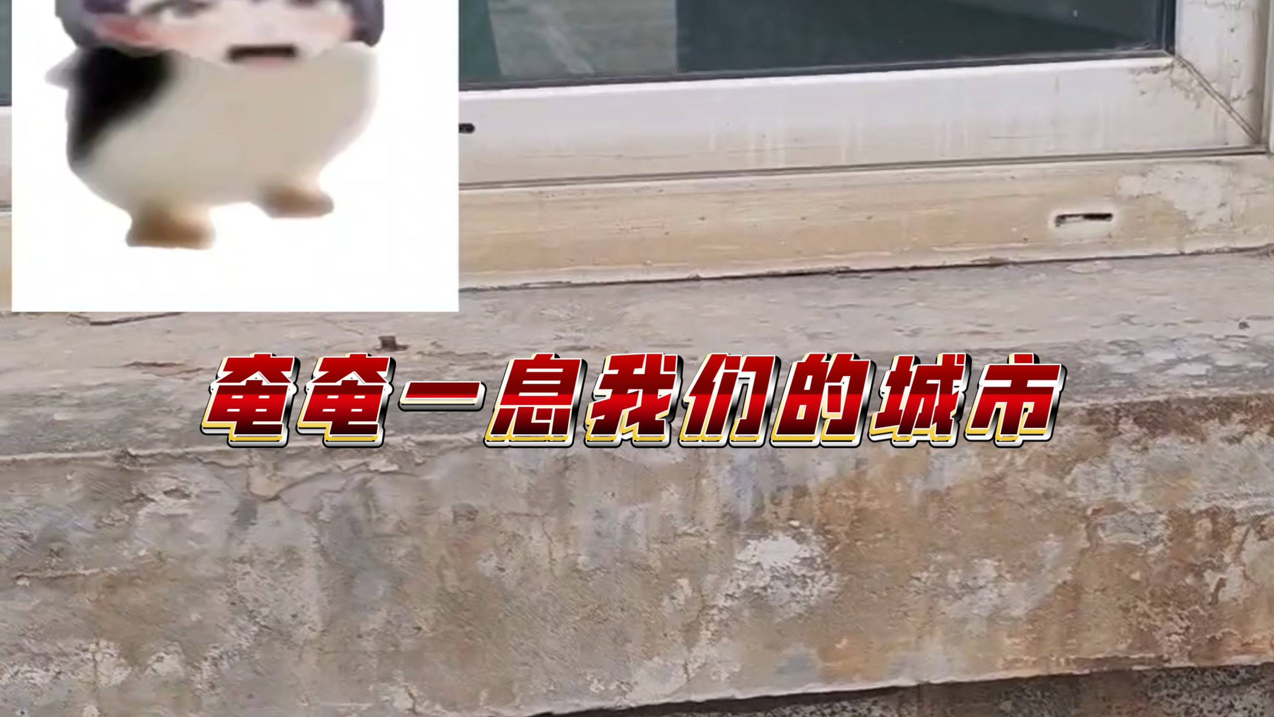羊宫妃那生日快乐～