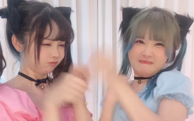 cats can't help each other