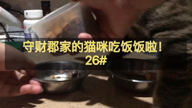 710f82f9031156e8d663fbff0b4d52e196db5238.jpg@280w_158h_1c_100q.jpg