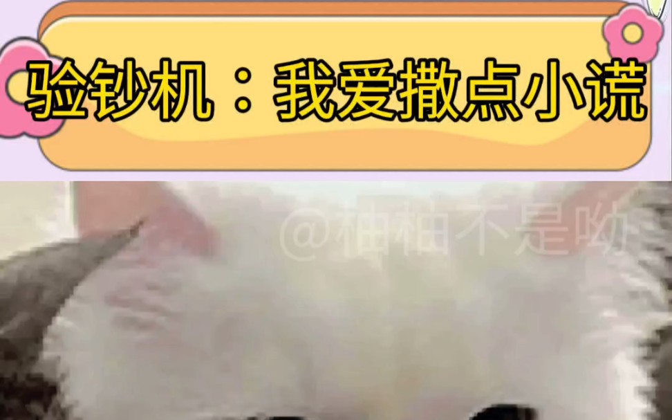 验钞机∶我爱撒点小谎