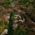 西溪湿地航拍4K60帧（新人第一个航拍视频）